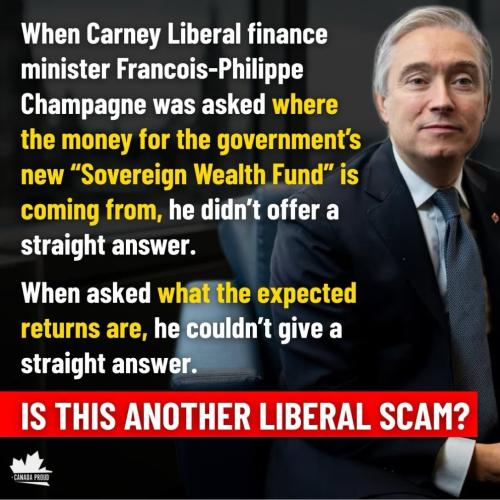 liberal scam
