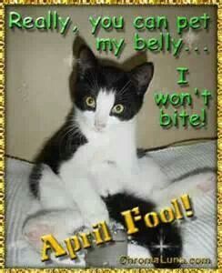 172b1986c045c1258620fd7b65a8c476