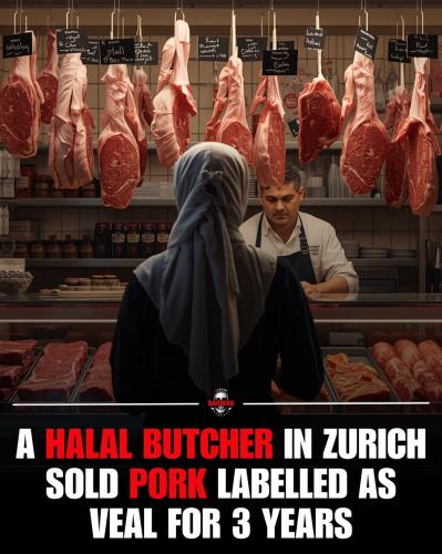 IMG_20260405_110254_378