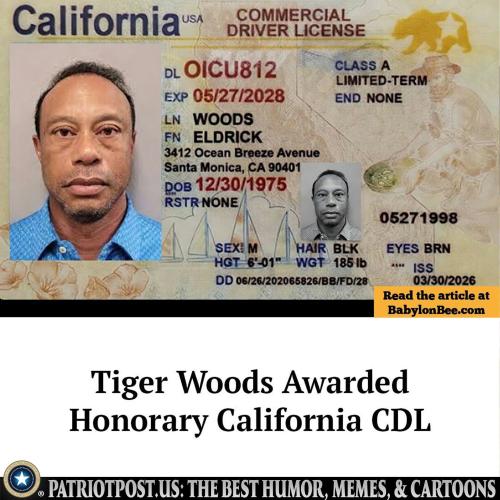 01KN4M53JJMZVZVYR12R63R6HF