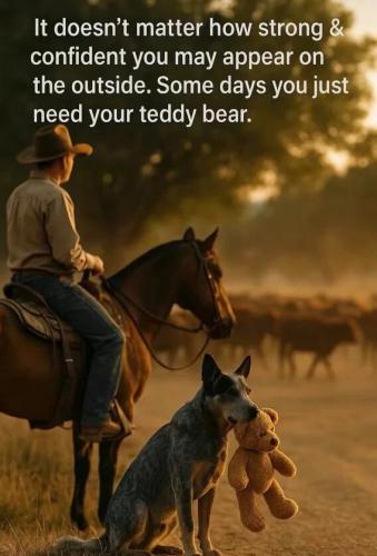 some-days-need-teddy-bear