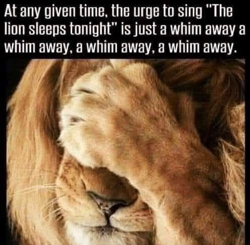 a lion f
