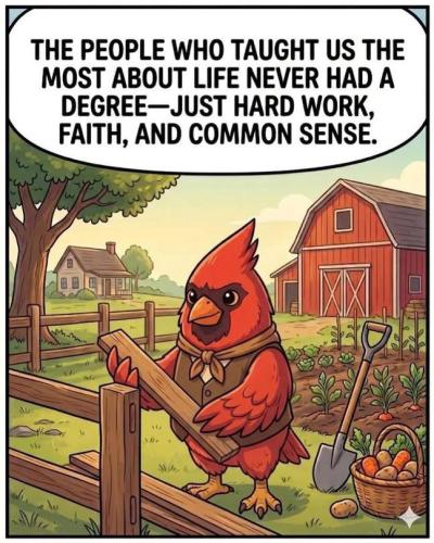 3a672065-063e-4849-923d-7fd344ef9475