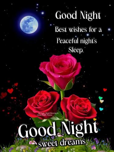 649820159_914261464803086_4047764490446090029_n