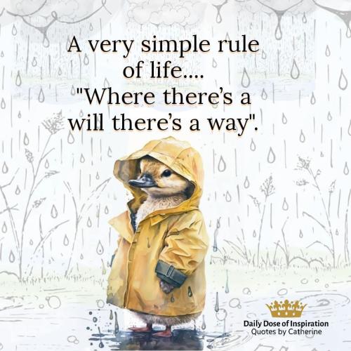 FB_IMG_1775668047073