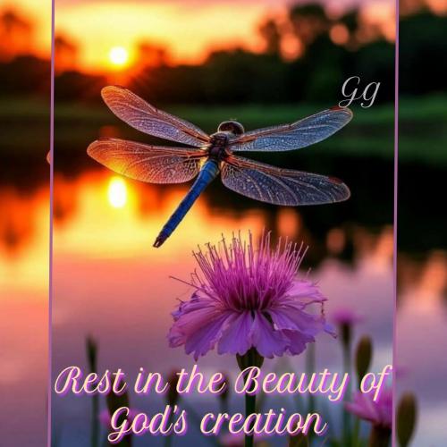 669585919_948540757556207_6975088474378023365_n