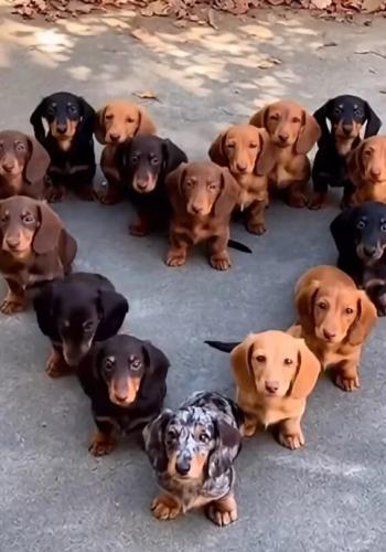 123d5a992f30791fa8e0a77a0b050600