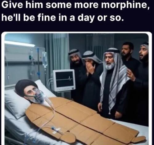 TESTHUB_photos_users_njVXH8KB8ZOyjr5gadjoqkYrHzj2_vT4md2@Dco)ns;J_t_V,_img_rsz__1100x1100