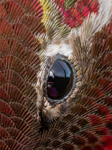 RDT_20260417_0731195858654752536043992