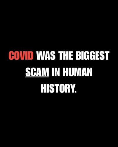 Covid scam