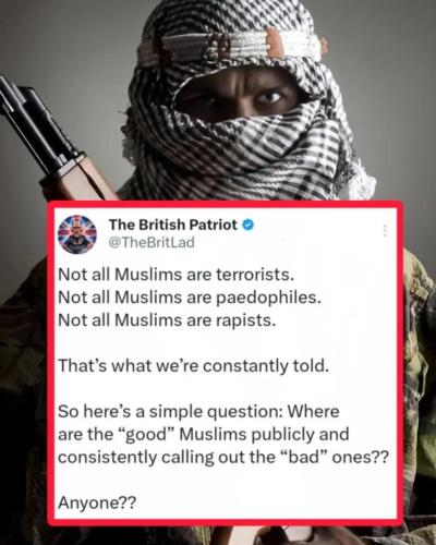 da7a828e-2369-4ec3-8630-af1befea794f