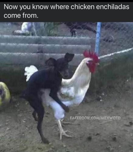 1e4f1148-e19d-4673-b099-b82185c4c9a0