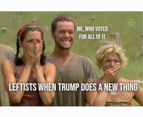 main-qimg-15581323a2fb5b42de0034b5479b5f9d