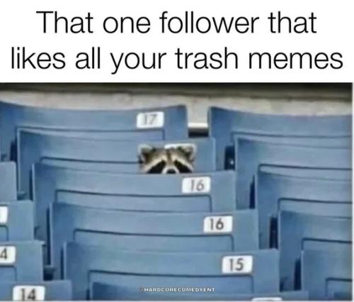that-one-follower