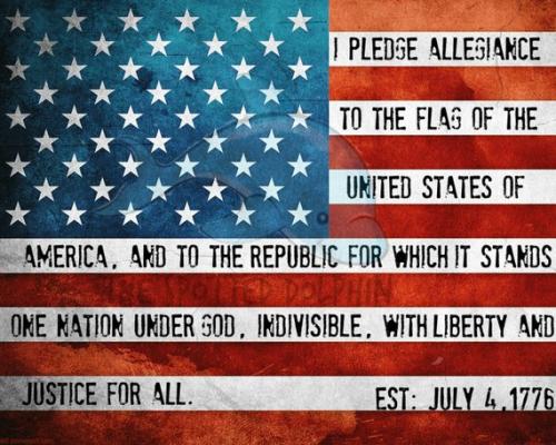pledge 19