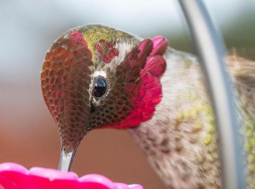 RDT_20260417_0731465868338442509800844