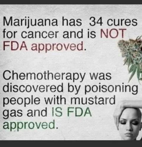 7f454323e9343390862115636a0b02ed