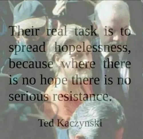 172cbb94e9aa6c8914941f168fedcfa8