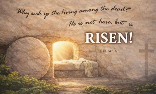 25294a6c-31ec-4cfc-a3fb-2fc063b6d962