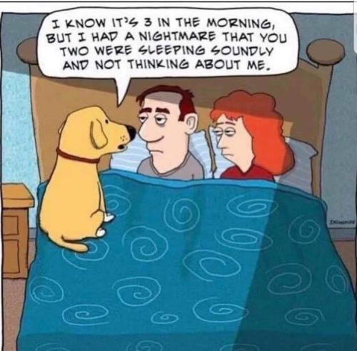 1bbd7b440d59bff0acd5dfa8a5e4c25b