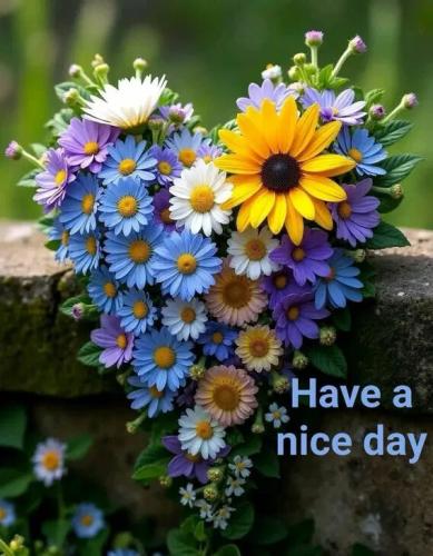 07683bb6a42319ce2d99722173cef2d6