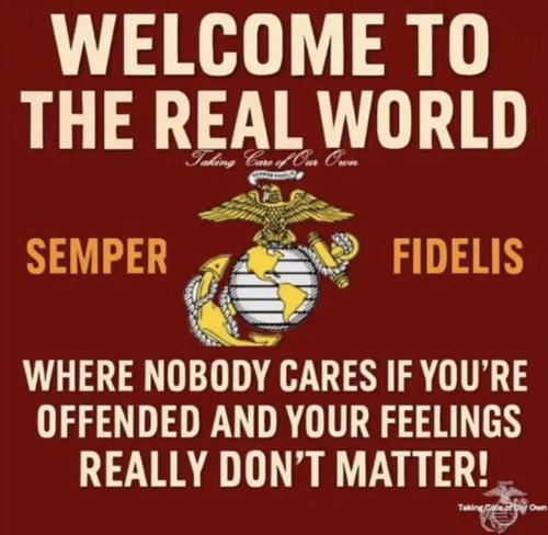 667870392_1486785613477831_4280233351154566974_n