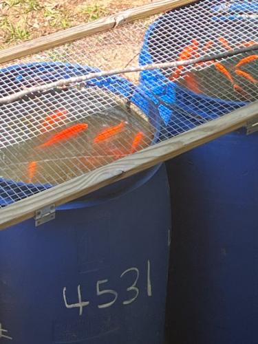 56E2A02E-B63F-43B7-831B-9C2467886B28