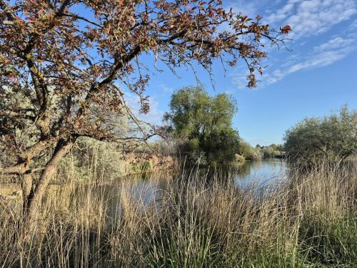 t2