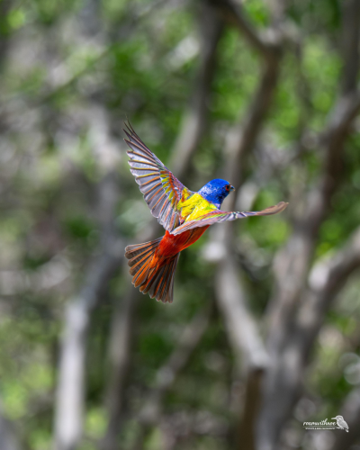 RDT_20260428_2033073904610586739306344