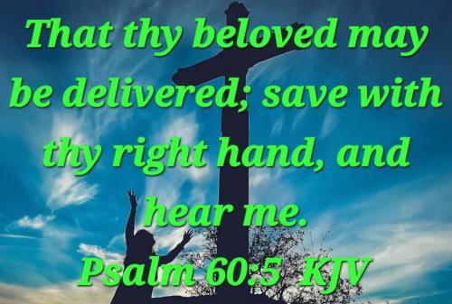 dd3d6cb0-50e7-4d70-856c-dbd39b9195ed