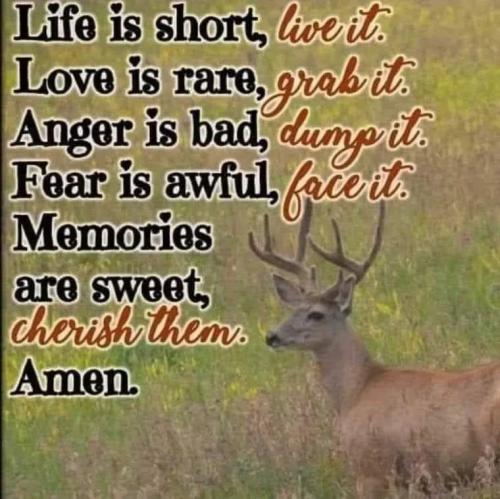 17764206810575792234130004344181_1802868395388399