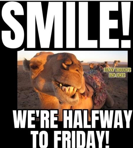 Screenshot_20260331_082531_Gallery