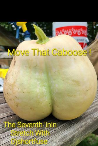 Screenshot_20260416_105444_Gallery