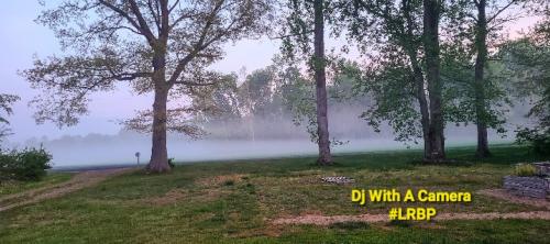 Screenshot_20260424_081911_Gallery