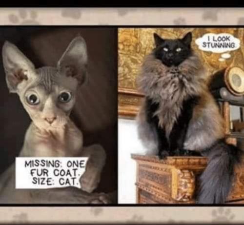 Screenshot_20260331_080317_Gallery