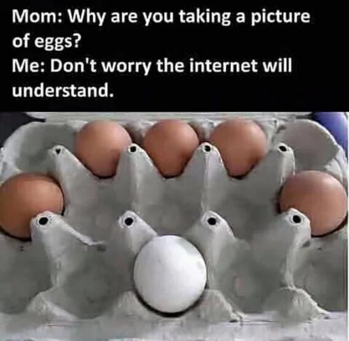 why-take-picture-of-eggs