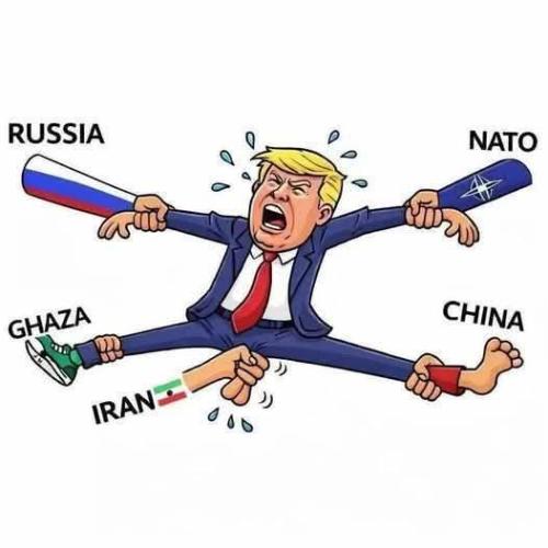 FB_IMG_1775640265179