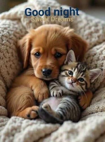 17969306c19385201d821ef0889bdbc7