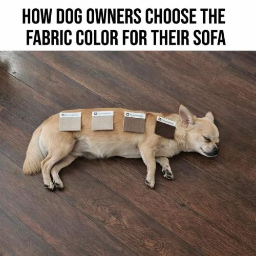 a9a87eff094d6619fcdc0afbdc12027b