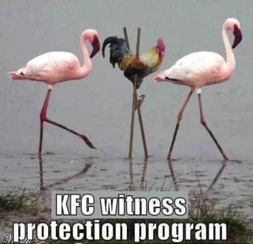 kfc-witness-protection