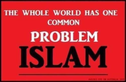 FB_IMG_1775421600534