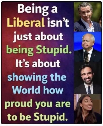 show-world-you're-proud-to-be-stupid
