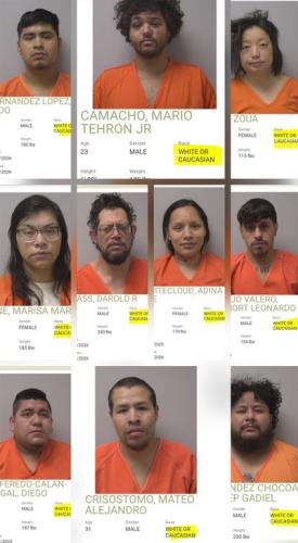 white or caucasion00