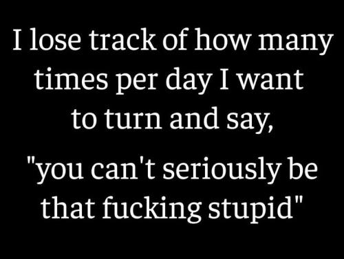 9a68a8bbe0c531e79d81ff0e08ce8e89