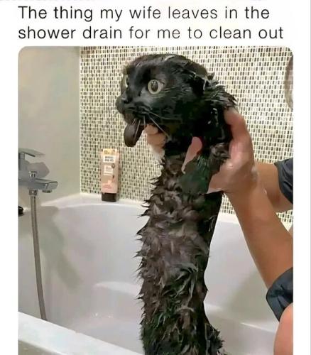 wife-leaves-in-shower-drain