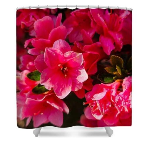 Screenshot_20260423_141723_Brave