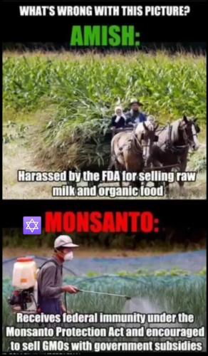 16d59aff651e5ecd5934d2611068405a