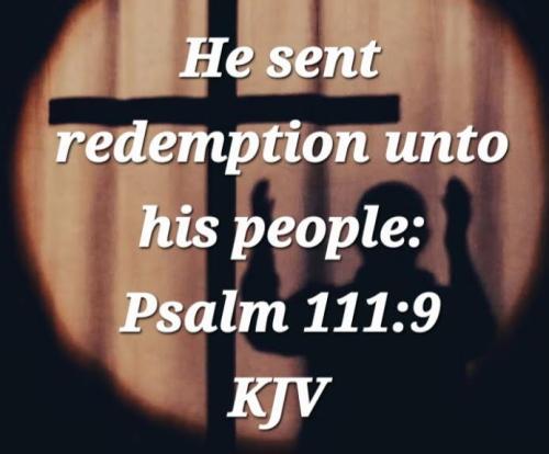 78d4c873-7c73-4a4f-8462-caa001a4607f