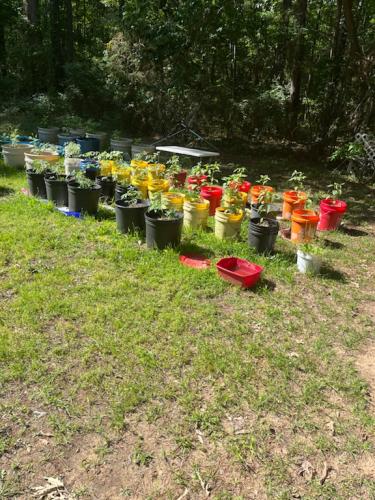 AF993171-13D6-4E4E-B950-72AAA212A080