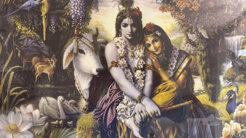 ,       ,        423193798_7468111